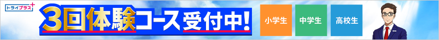 トライプラス画像
