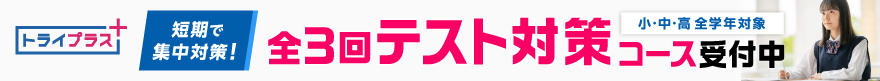 トライプラス画像