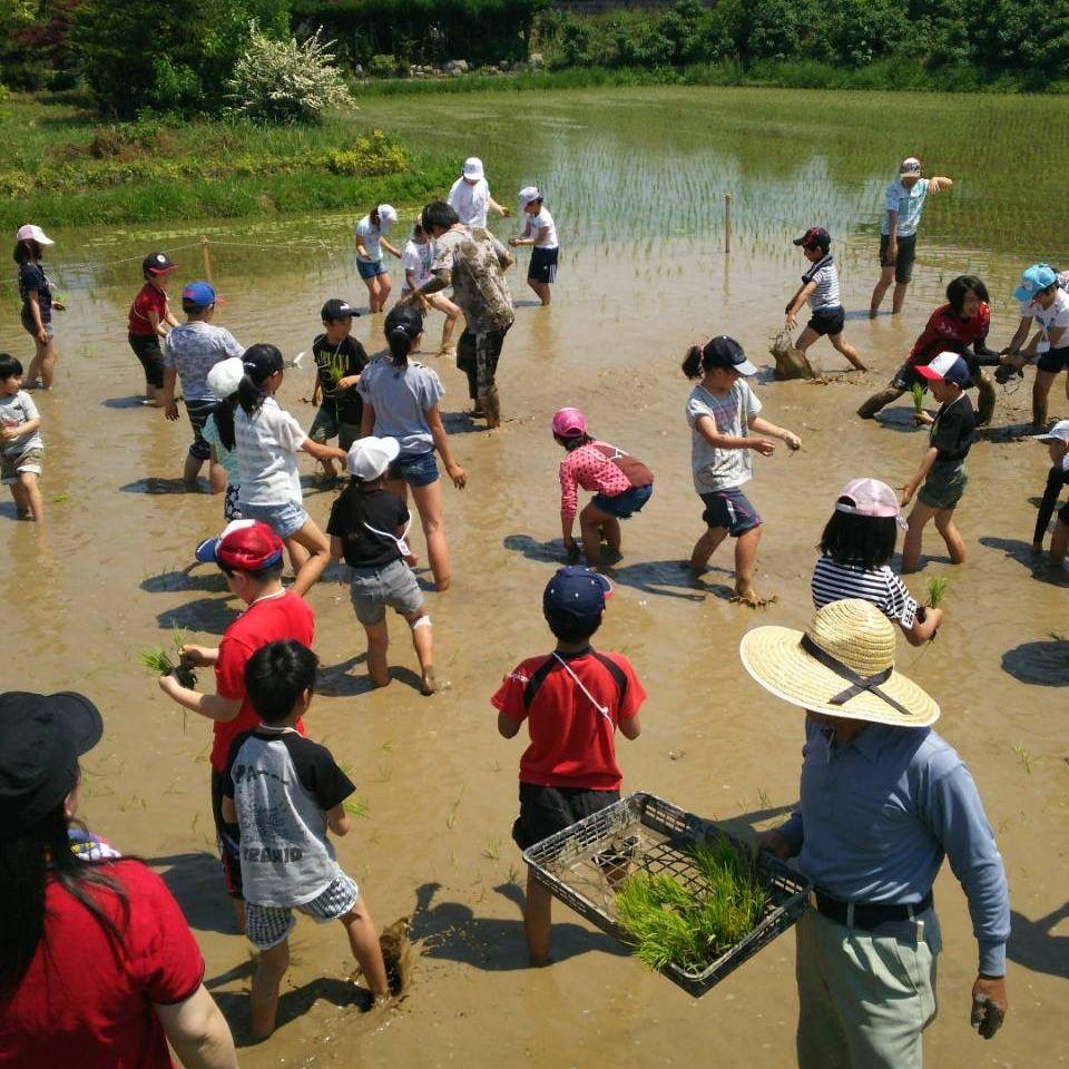 ＰＩＣＬ学習教室一宮教室 教室画像5