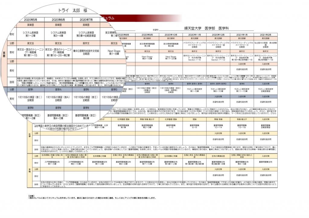 トライ式医学部合格コースのカリキュラム