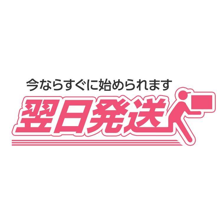 スマイルゼミ 画像28