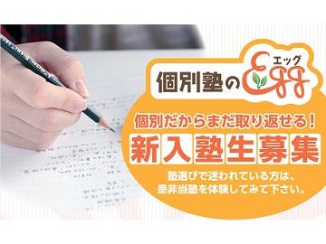 個別塾のｅｇｇ鷹取教室 冬 料金 口コミ 申込 料金問合せ 塾ナビ No 1塾検索サイト