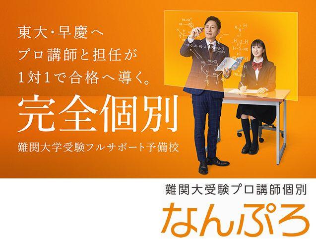 難関大受験プロ講師個別 なんぷろ