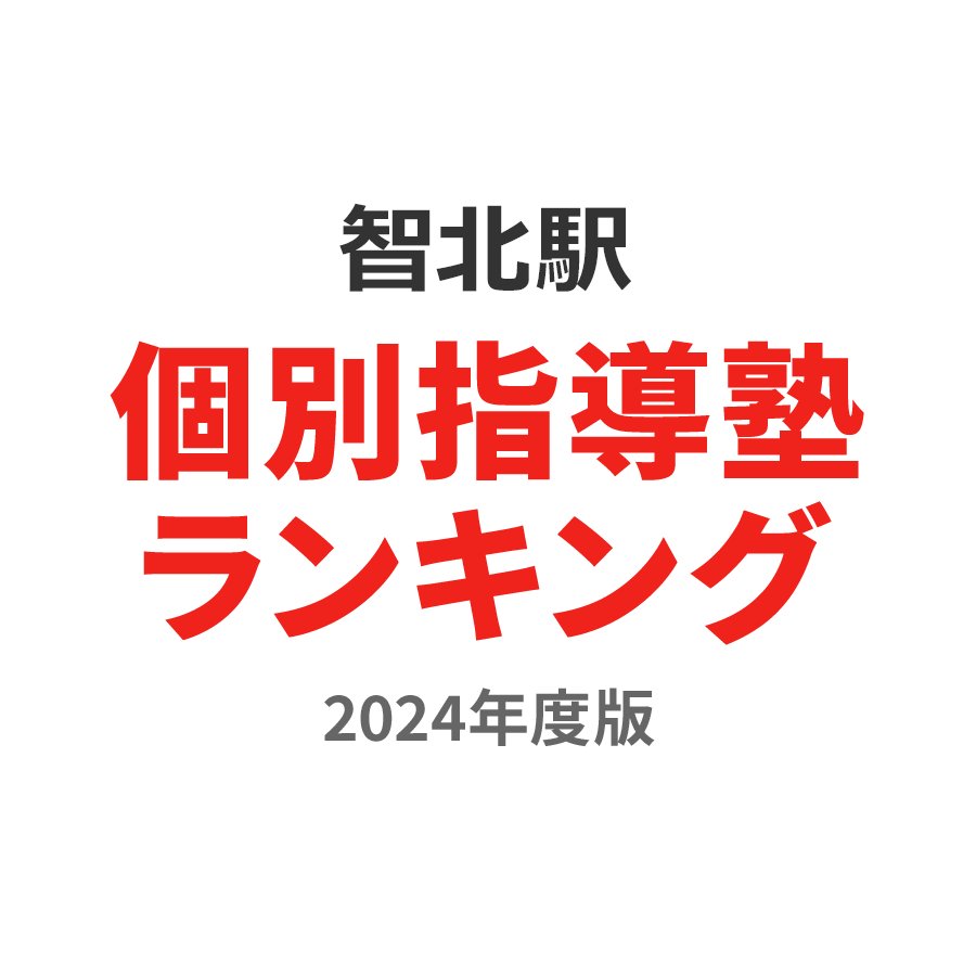 智北駅個別指導塾ランキング小3部門2024年度版