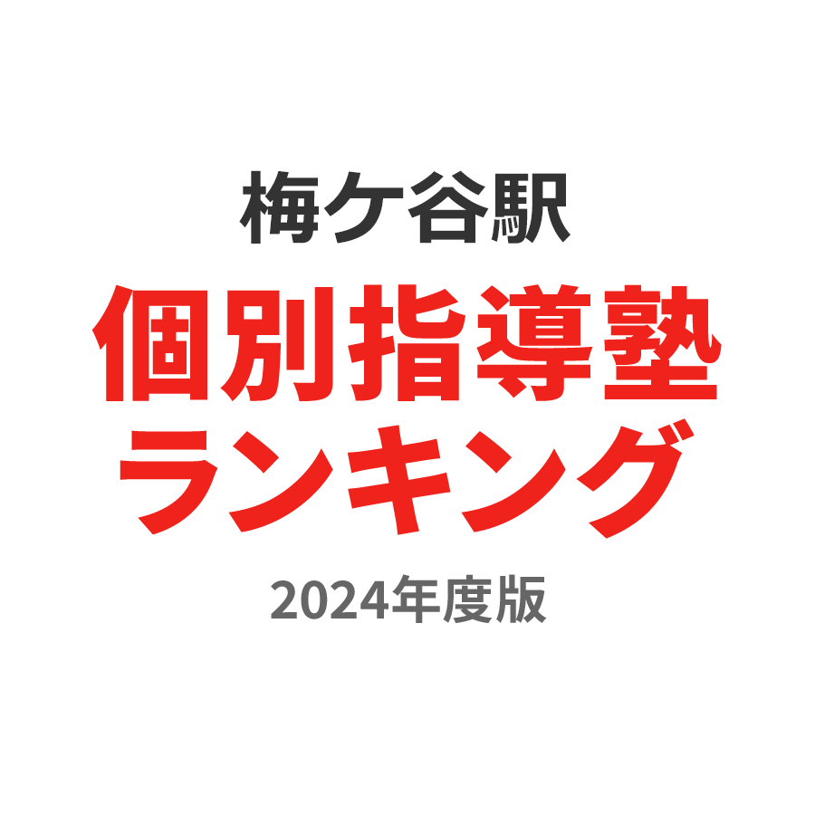 梅ケ谷駅個別指導塾ランキング小1部門2024年度版