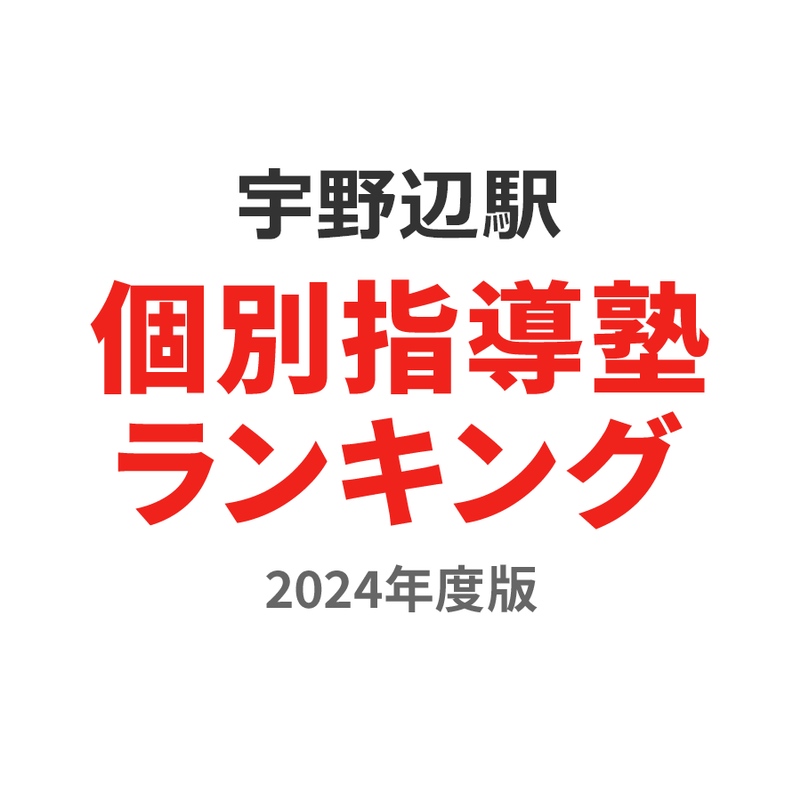 宇野辺駅個別指導塾ランキング小学生部門2024年度版