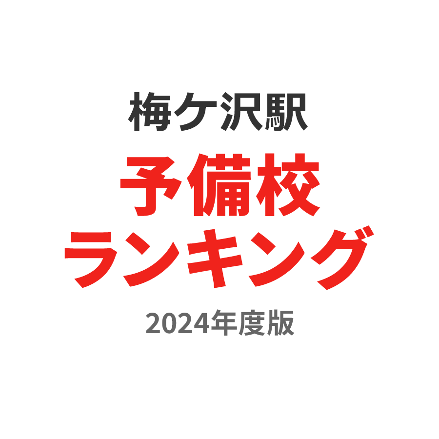 梅ケ沢駅予備校ランキング2024年度版