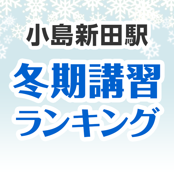 小島新田駅の冬期講習ランキング