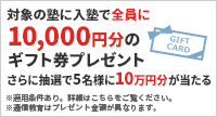 キャンペーン
