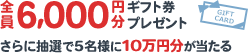 キャンペーン
