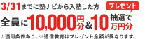 キャンペーン