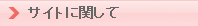 サイトに関して
