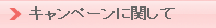 キャンペーンに関して